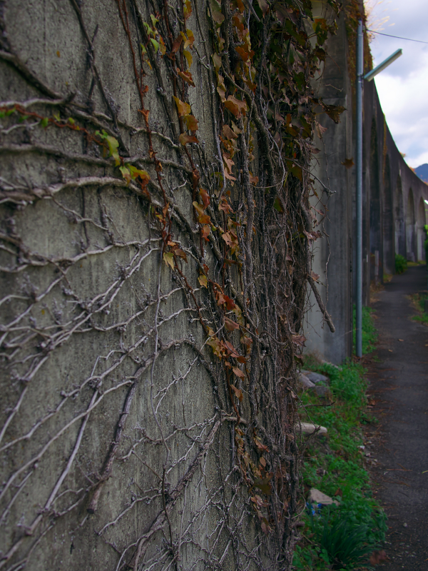 f:id:urotsukiki:20220112115456j:plain