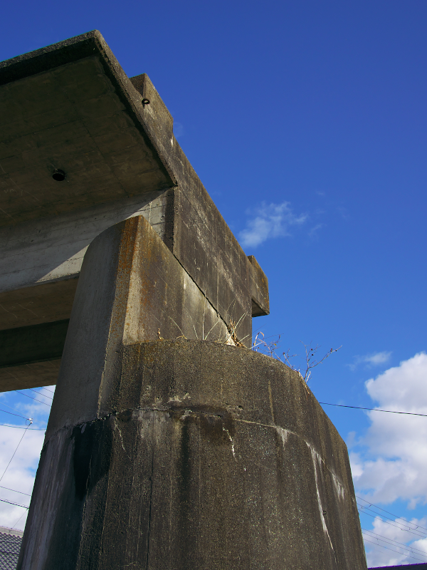 f:id:urotsukiki:20220112115507j:plain