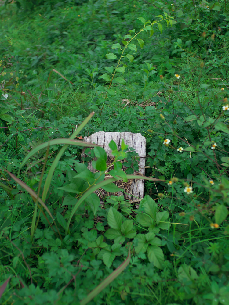 f:id:urotsukiki:20220202193029j:plain