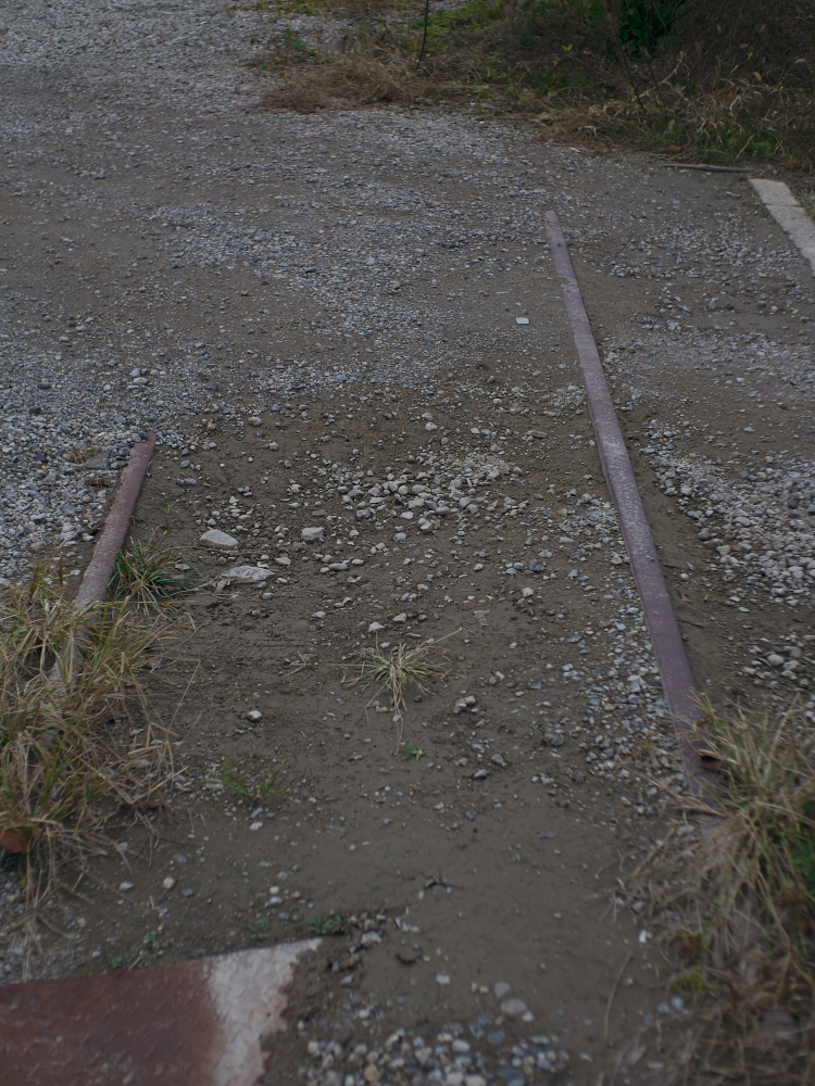 f:id:urotsukiki:20220202193036j:plain