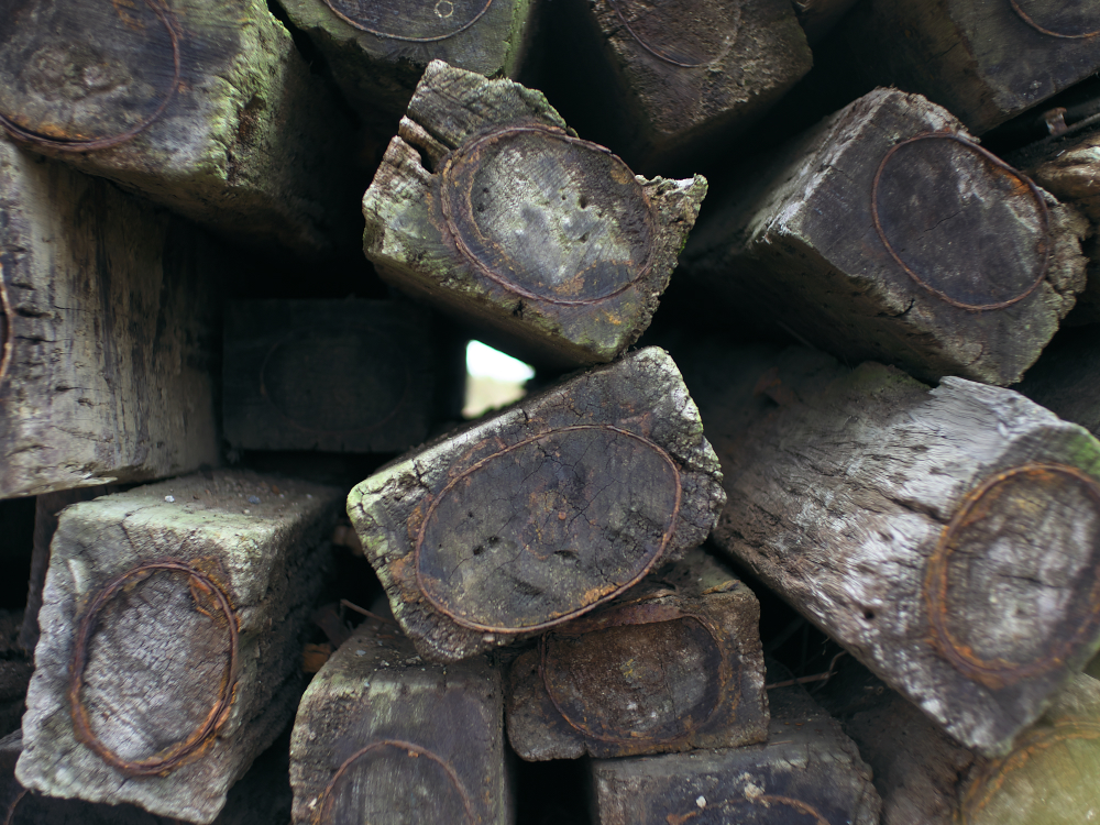 f:id:urotsukiki:20220202193050j:plain