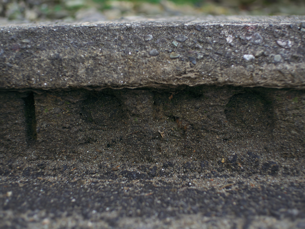 f:id:urotsukiki:20220202193106j:plain