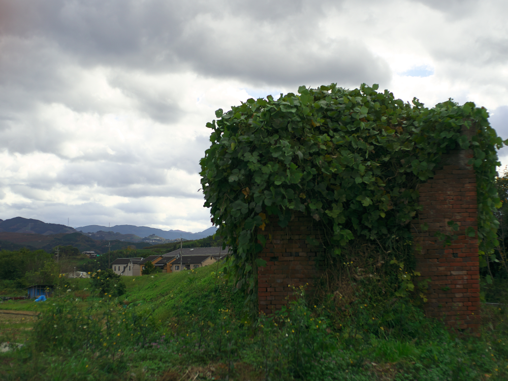 f:id:urotsukiki:20220202193119j:plain