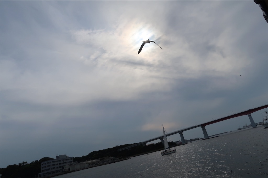 f:id:urouro_nendo:20180503015700j:image f:id:urouro_nendo:20180503015700j:image
