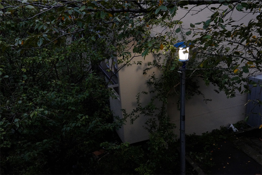 f:id:urta:20191030235427j:image