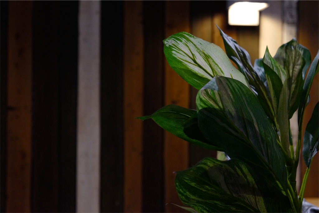 f:id:urta:20191031131145j:image