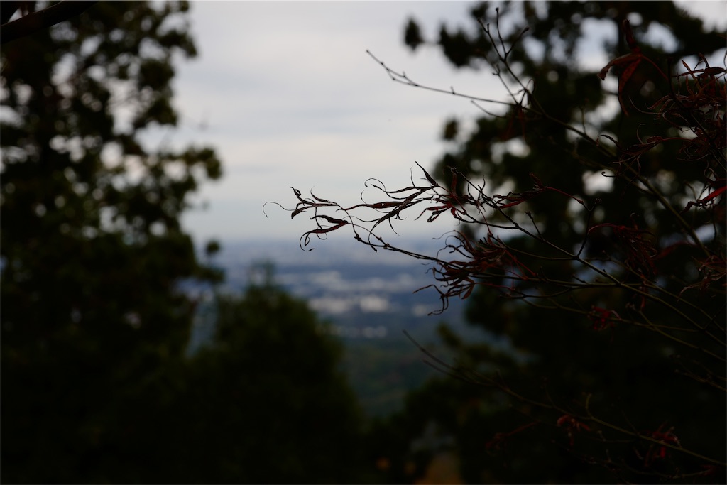 f:id:urta:20191109213328j:image