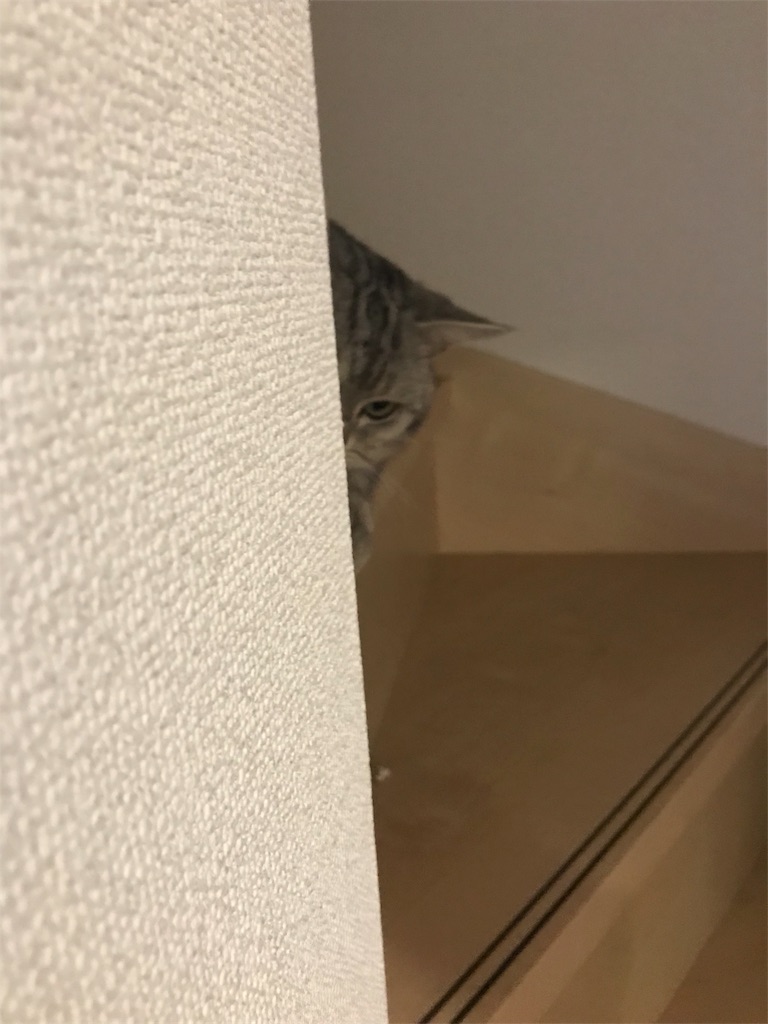 f:id:uru-sura:20191006030737j:image