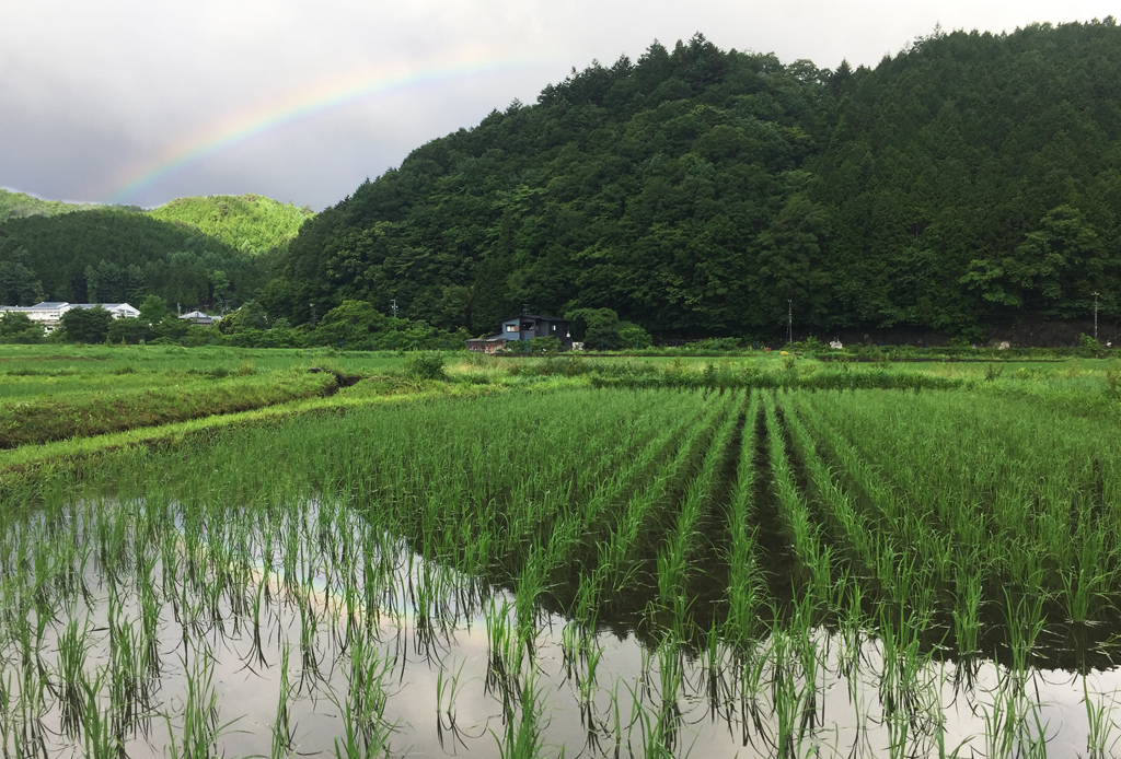 f:id:urugi-farmers:20171205223038j:plain f:id:urugi-farmers:20171205223038j:plain
