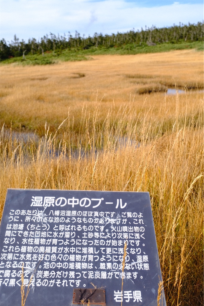f:id:urushioar:20210930180012j:image