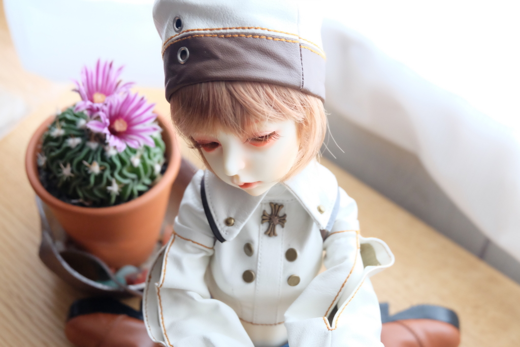 f:id:urutakonbe:20170521213136j:plain