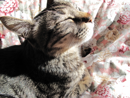 f:id:urutan:20091207015854j:image