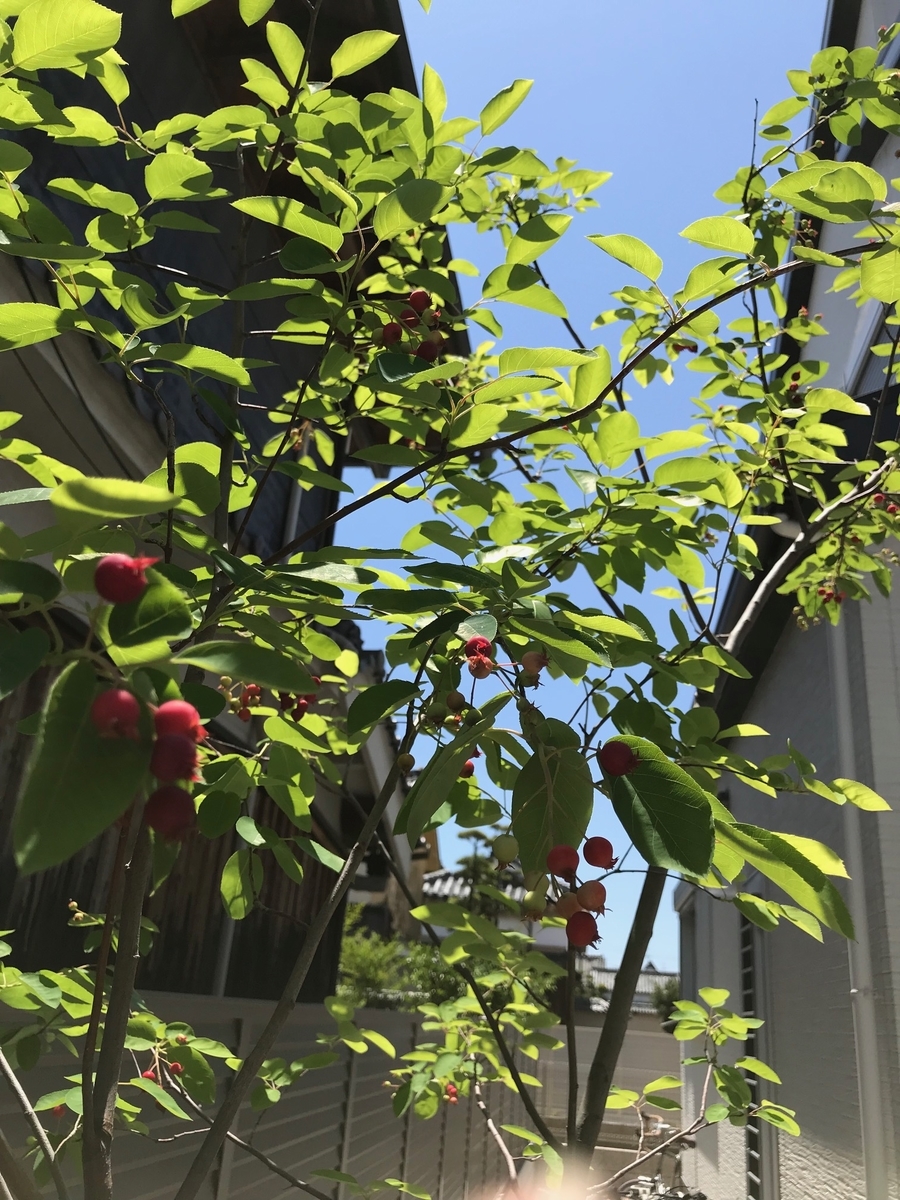 f:id:urutyanlove:20190610052053j:plain f:id:urutyanlove:20190610052053j:plain