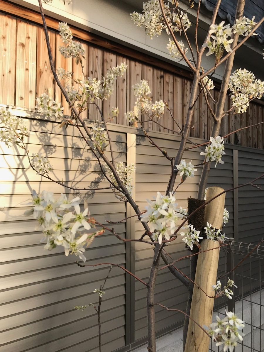 f:id:urutyanlove:20190610052113j:plain f:id:urutyanlove:20190610052113j:plain