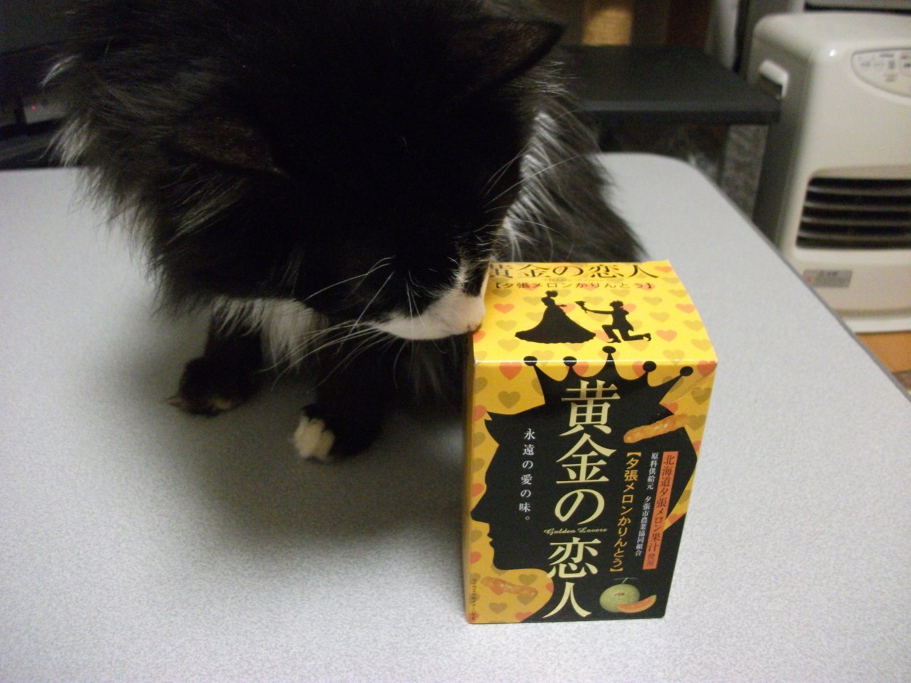  また訴えられるにゃ