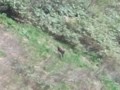 [西興部][ウェンシリ岳] デジタルズーム