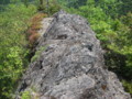 [西興部][ウェンシリ岳] 岩稜