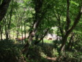 [西興部][ウェンシリ岳] 下山