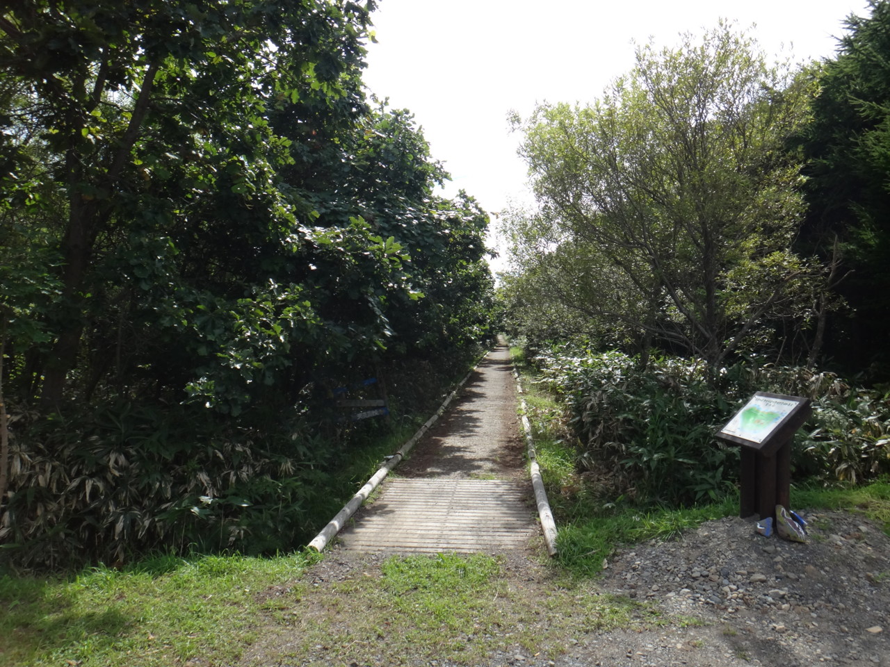  フットパスコースへ