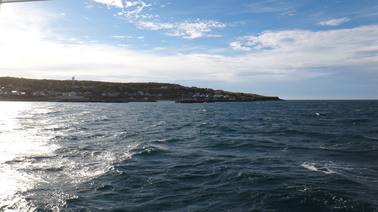  こんにちは焼尻島