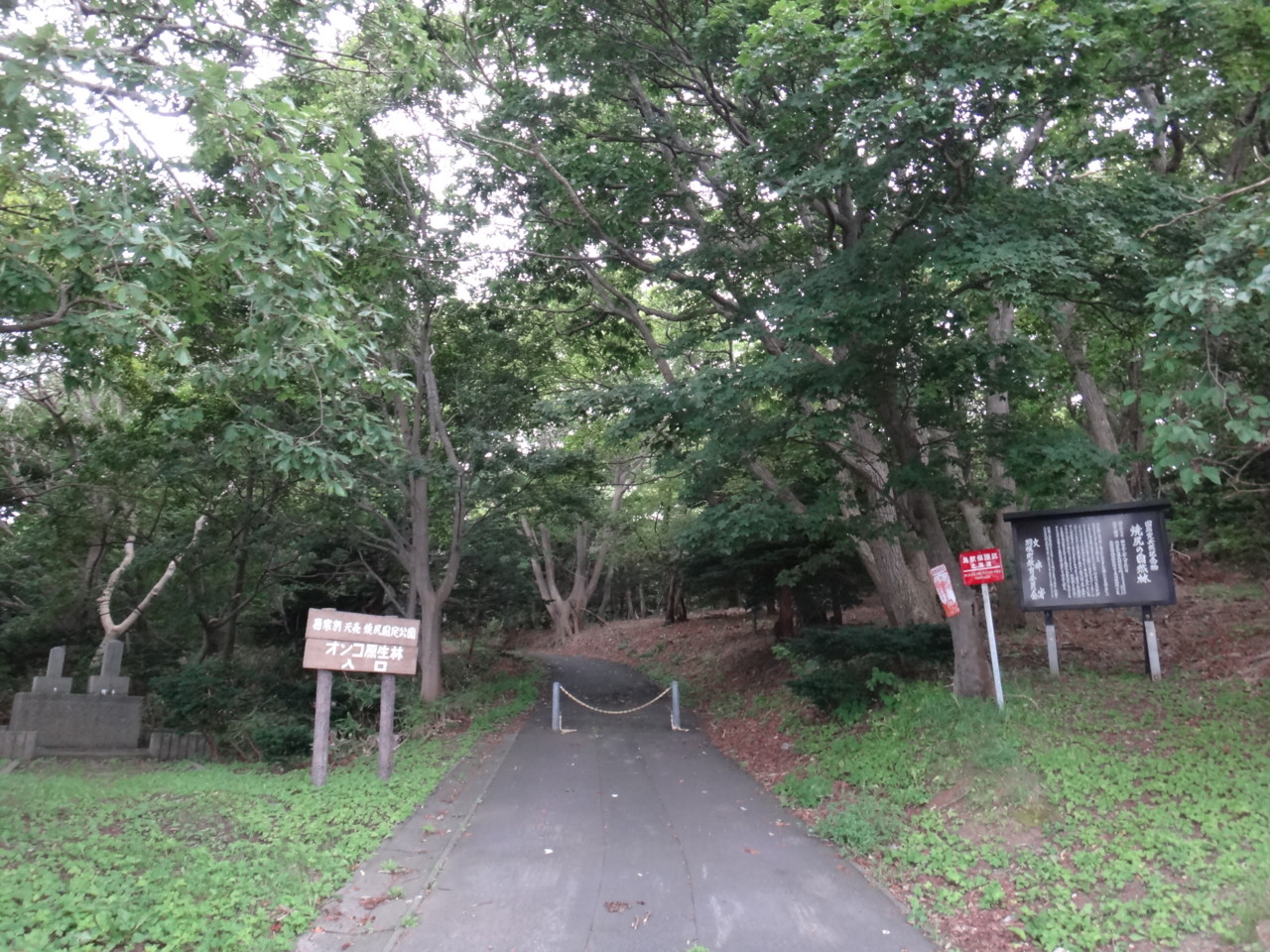  オンコ原生林入口