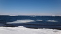 [紋別] 接岸しようとする流氷