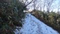 [ニセコ][ニセコアンヌプリ] 積雪した登山道