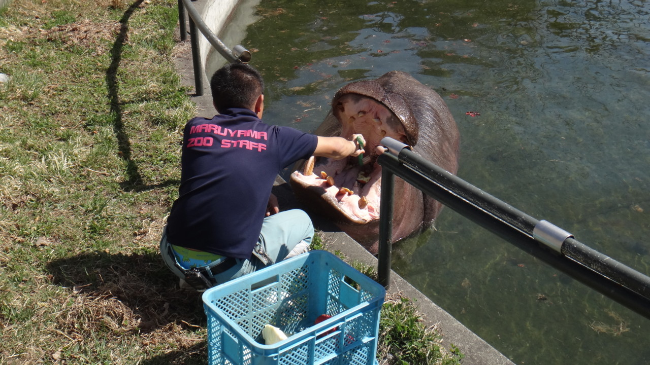  お食事しながらゴシゴシ