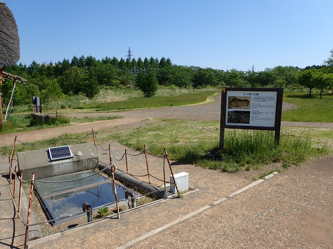 三内丸山遺跡 大人の墓