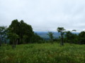 [深川]樹林の切れ間からのぞく石狩平野・1