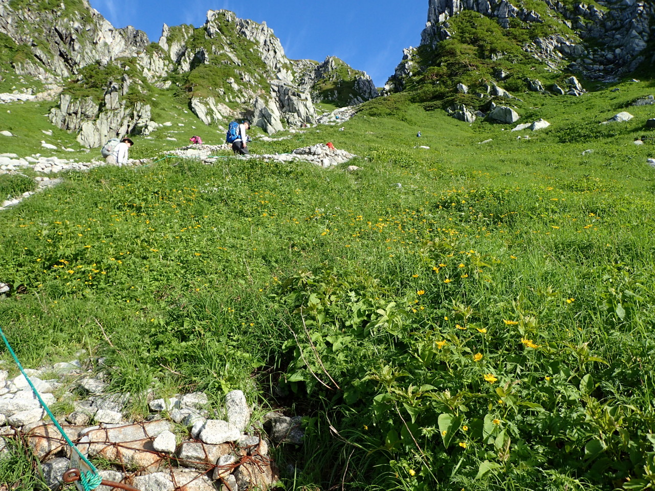 個別 長野 木曽駒ケ岳 お花畑 の写真 画像 登山 Uruya S Fotolife