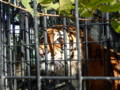 [帯広][帯広動物園]