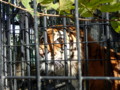 [帯広][帯広動物園]