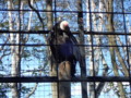 [帯広][帯広動物園]