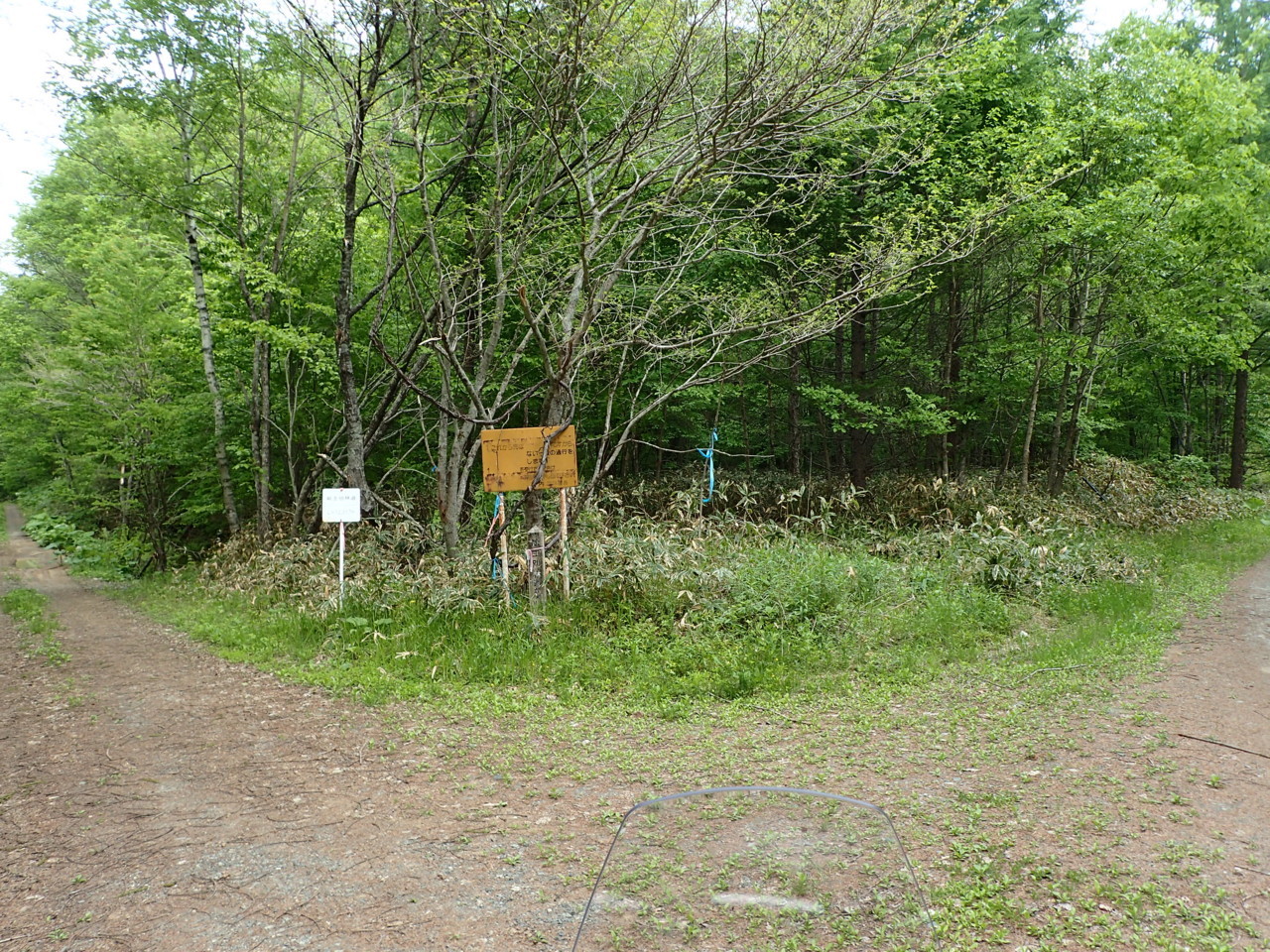 総主別林道分岐