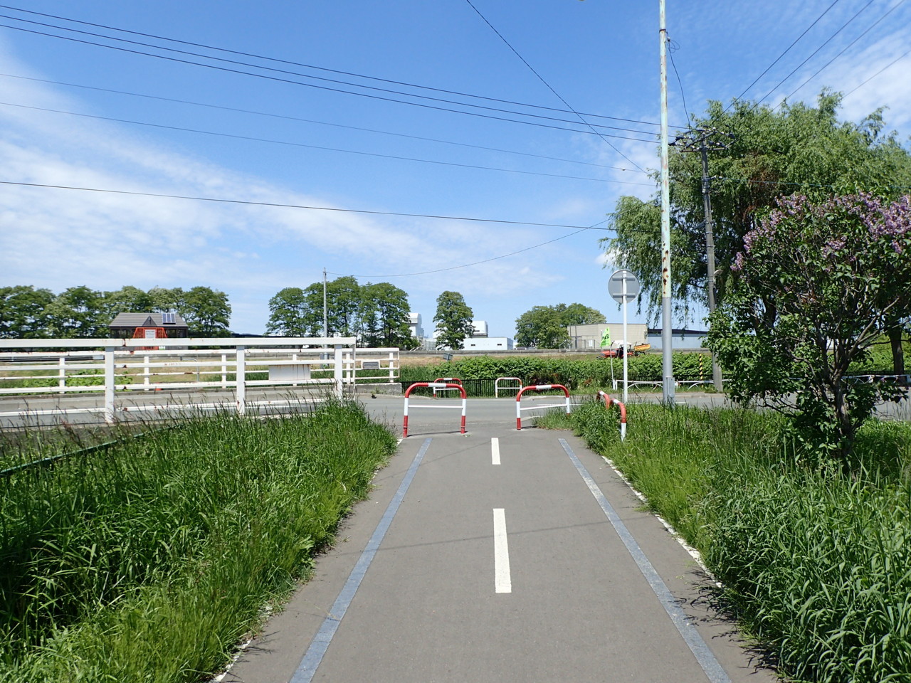 望月寒川に突き当たって終了