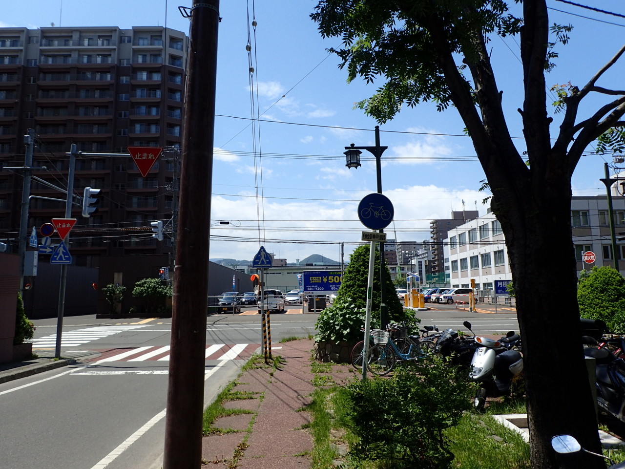 札幌龍谷の裏に出る