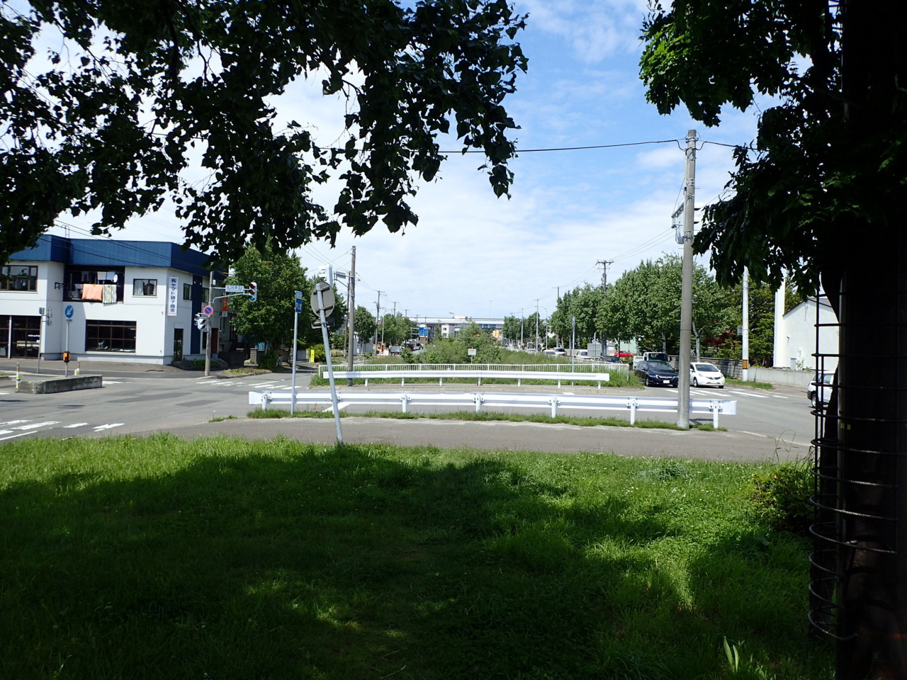 やっぱりなかった