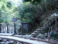 [鹿児島][屋久島][縄文杉]大株歩道入口