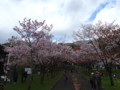 [栗山]栗山公園