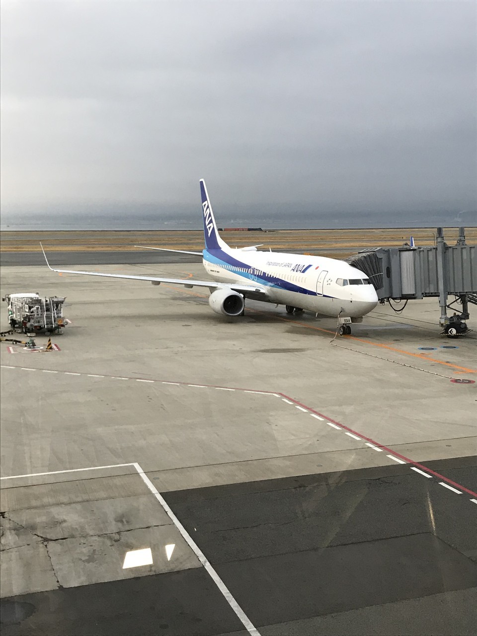 搭乗便