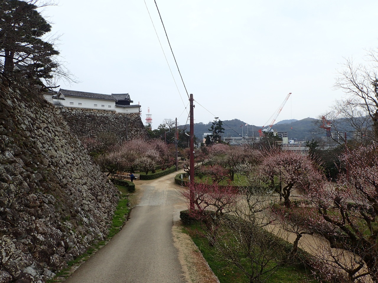 梅園