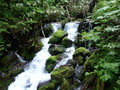 [長野][槍ヶ岳]滝