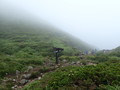 [大分][九重連山]南登山口分岐