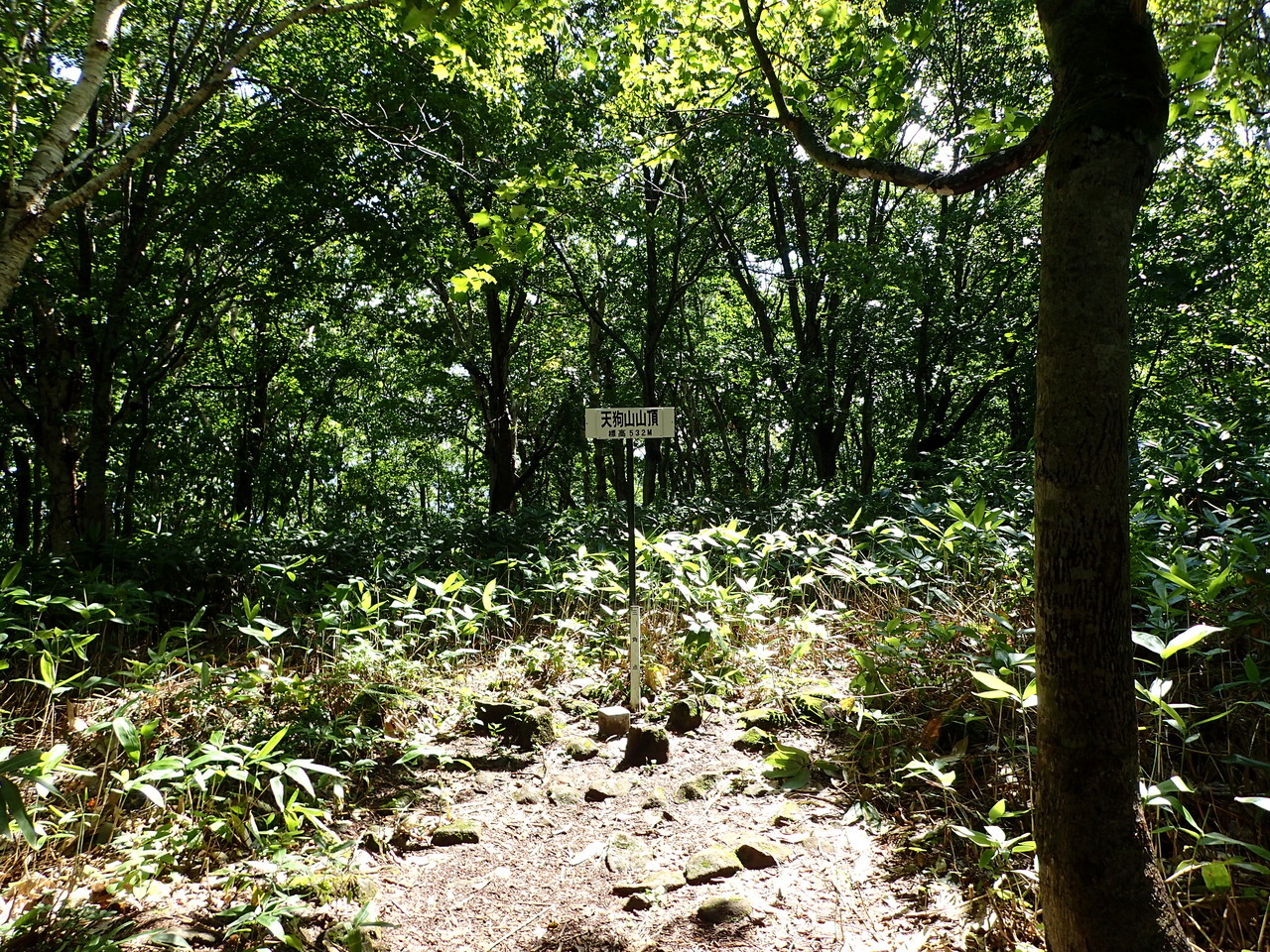 天狗山