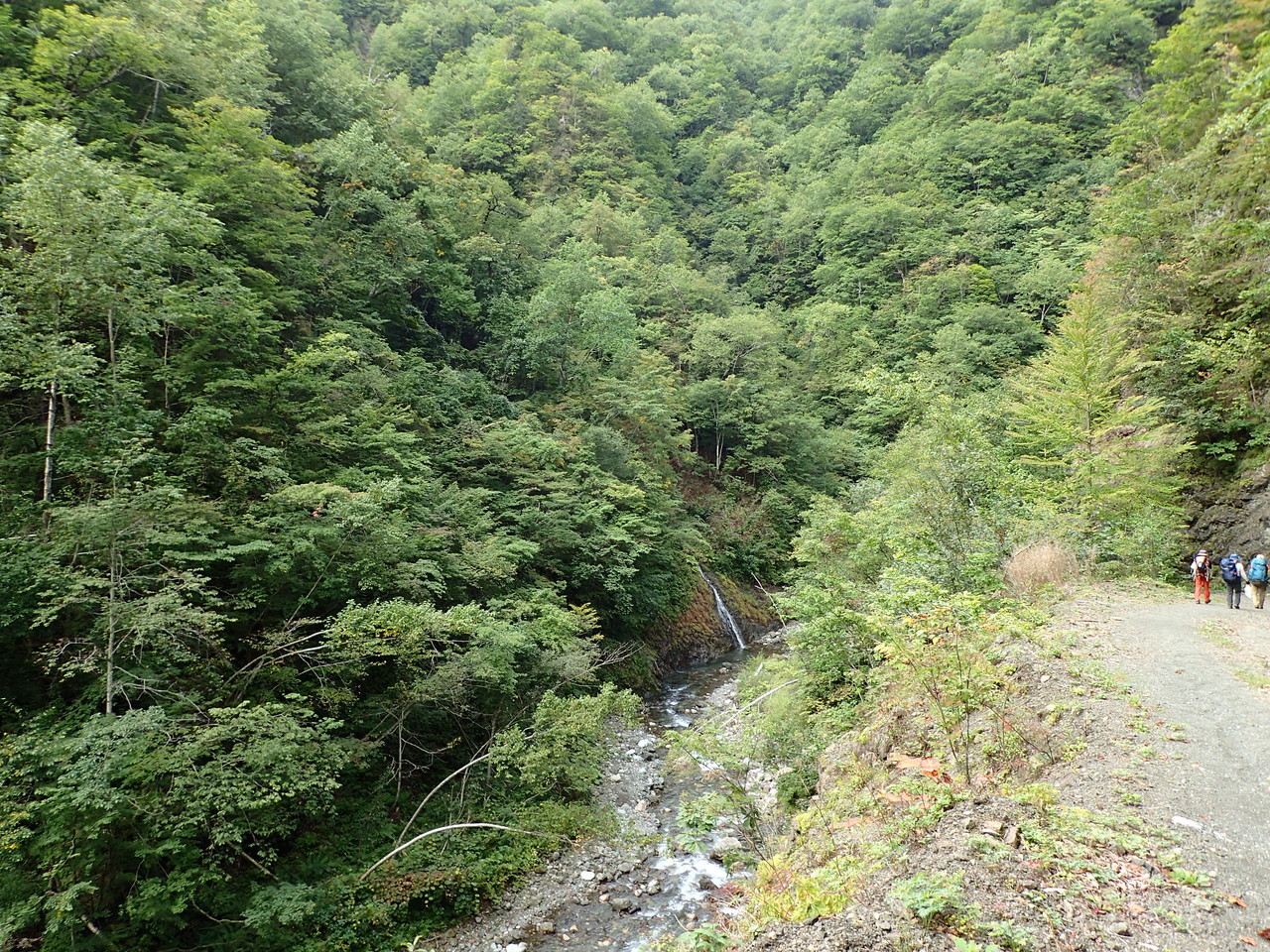 林道歩き
