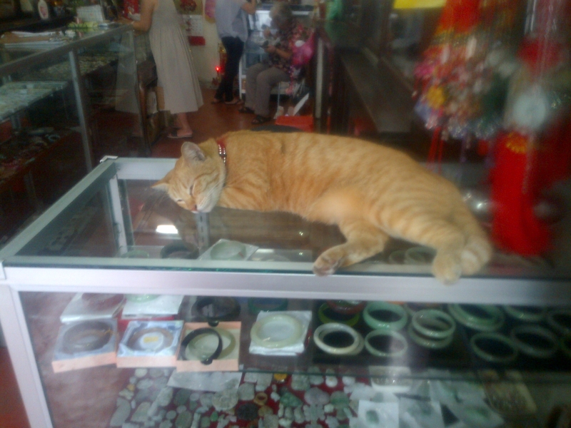f:id:uryako72:20120818170422j:image