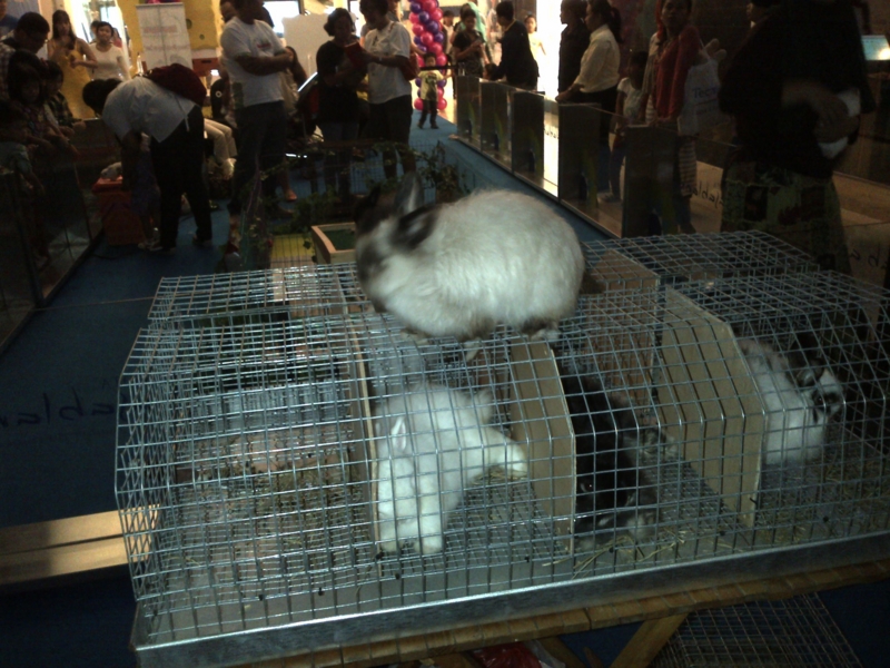 f:id:uryako72:20130317160000j:image