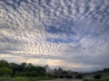 京都新聞写真コンテスト　秋の鰯雲