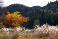 京都新聞写真コンテスト　山村の秋